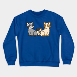 Raccoon Friends in Blue Crewneck Sweatshirt